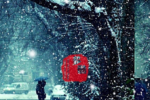 【网页模版】超逼真的下雪特效模板