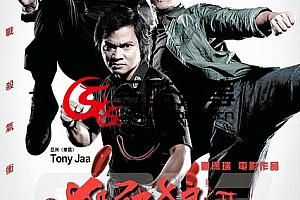 【热门电影】杀破狼2之杀无赦(2015)—DuoCooL.Cn